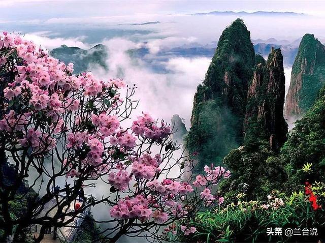 芙蓉国