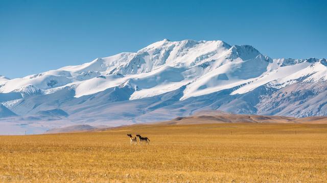 西藏风景