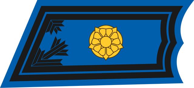各国军衔标识:芬兰