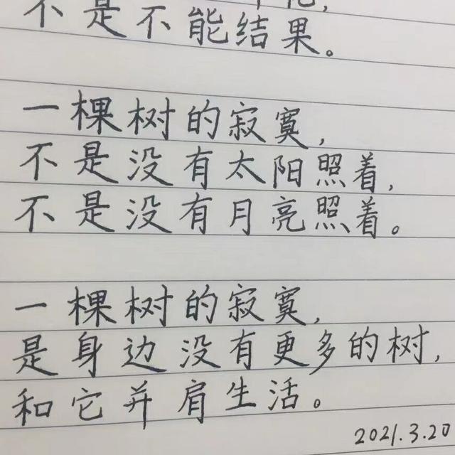 一棵树死他
