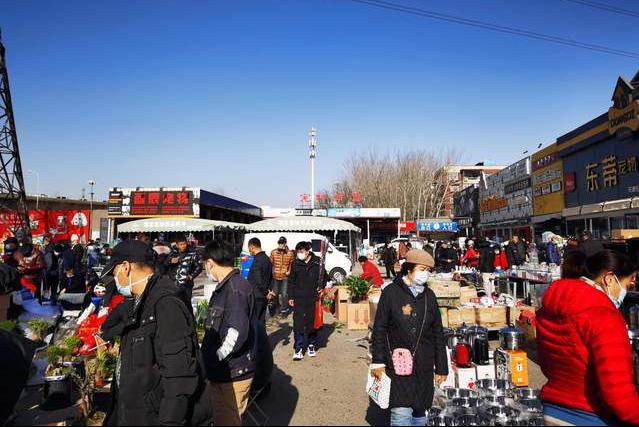 广州宠物市场