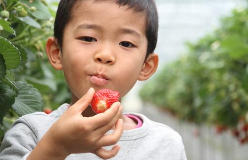 消化不良，胃胀难受？中医1个方子，帮你疏肝健脾，摆脱这些困扰