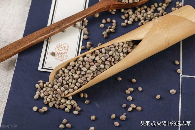 秋燥便秘？一剂麻子仁丸，润肠通便，助你改善便秘烦恼