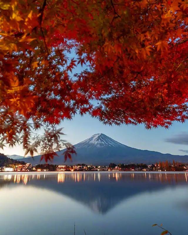 富士山秋季枫树 红叶 雪山 森林美景 酷生活网