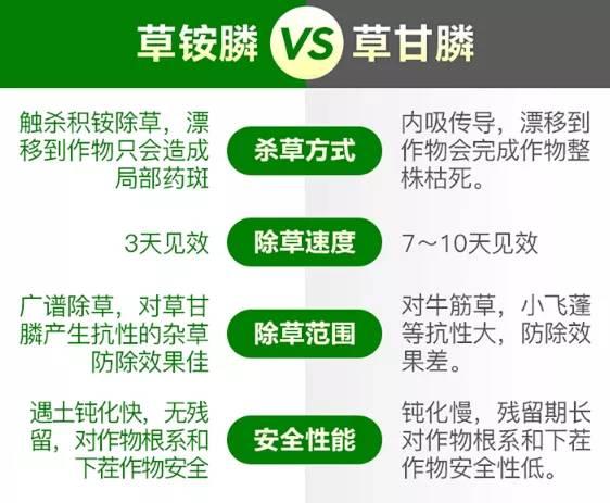 草甘膦VS草铵膦，一字之差却大不同，果园除草到底选哪个好？2