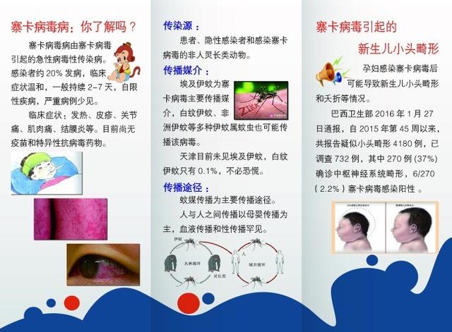比尔盖茨曾经警告“世界上最致命的动物”：德国正在消灭它