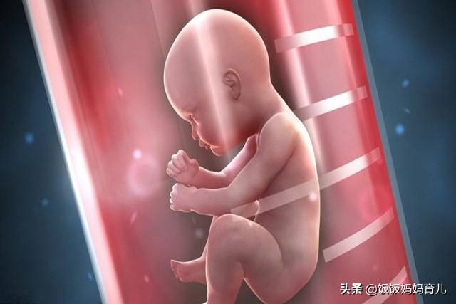 普通婴儿和试管婴儿有何差别？寿命，智力，答案确实和你想的不同