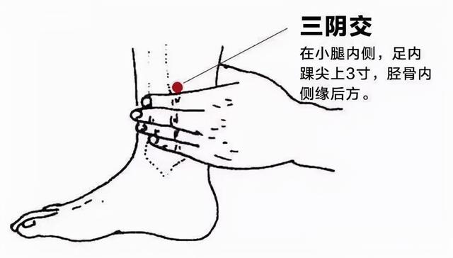 秋天到了，天气转凉，这些中医小知识一定要告诉你的女朋友