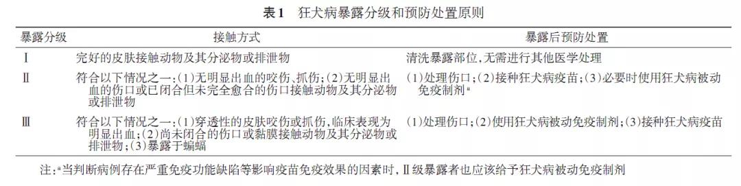 被狗狗咬了