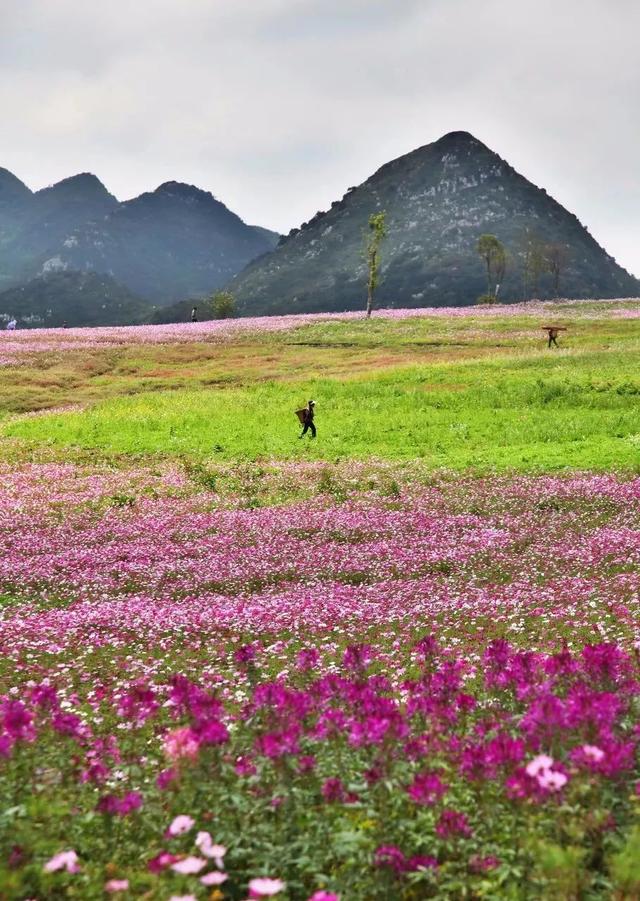 夏季旅游