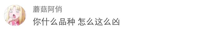 骂人不带脏字的句子大全，用上很解气