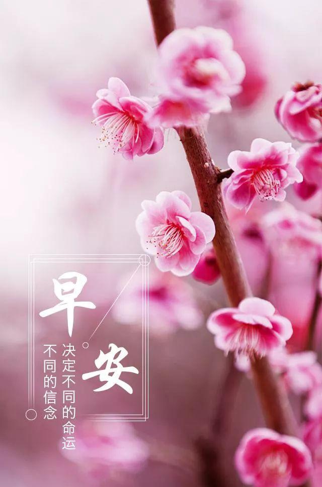周一正能量早安问候语：如果结果不如所愿，就在尘埃落定前奋力一搏