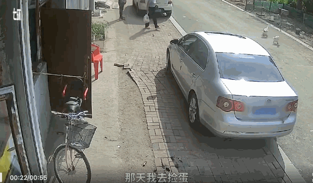 见一次咬一次！女主人拿走鹅蛋被公鹅记仇大半年，网友：农村一霸不是浪得虚名