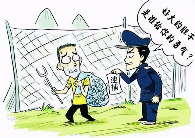 https://www.meipian.cn/56fb02kw