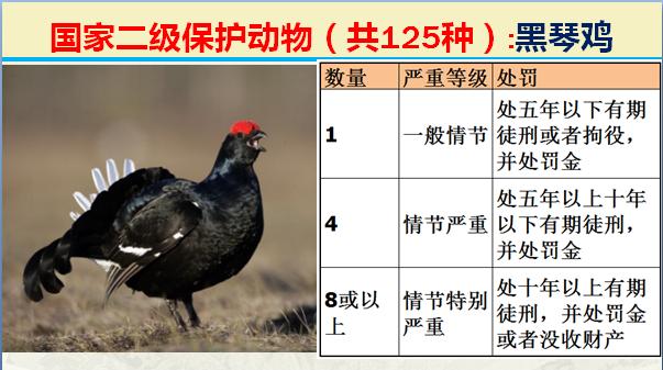 国家二级保护动物