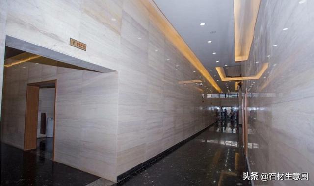 紫流金是啥(山河令紫流金)