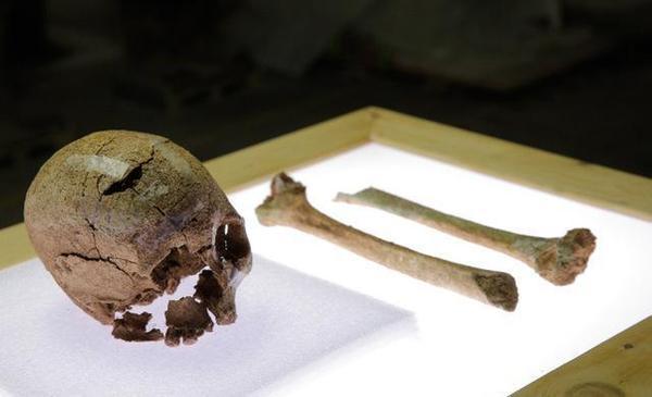 秦始皇陵东部出现了公子扶苏的骨骸?