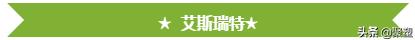 化纤纤维破碎机