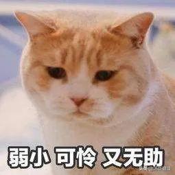 红色红点摸起来有点像鸡皮疙瘩