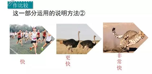 置之不理的置什么意思 置之不理的置什么意思（置之不理的理什么意思） 生活