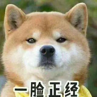韩熙美白身体乳