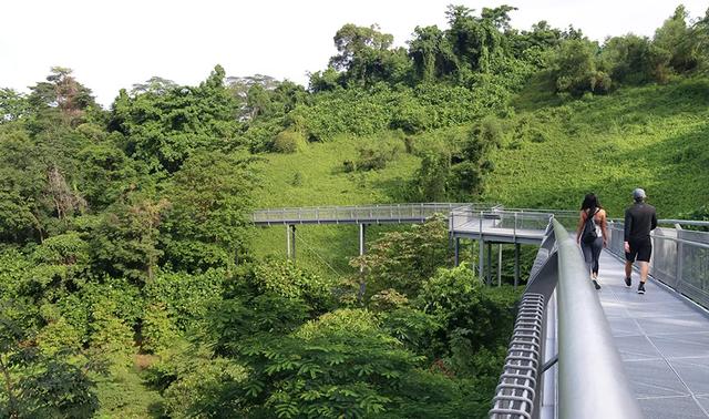 新加坡一學校3天內確診3例！這個疫苗對德爾塔病毒或更有效