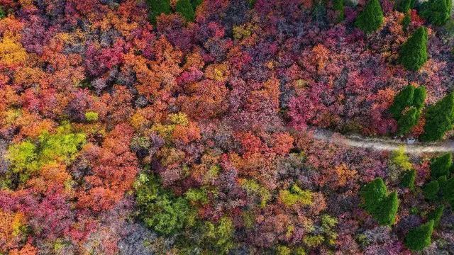 仙台山