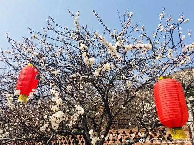 鞍山海沙淡化洗砂机厂家