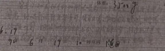 许妈丢失的《新生婴儿记录二》如何重见天日的，来看文字版解析