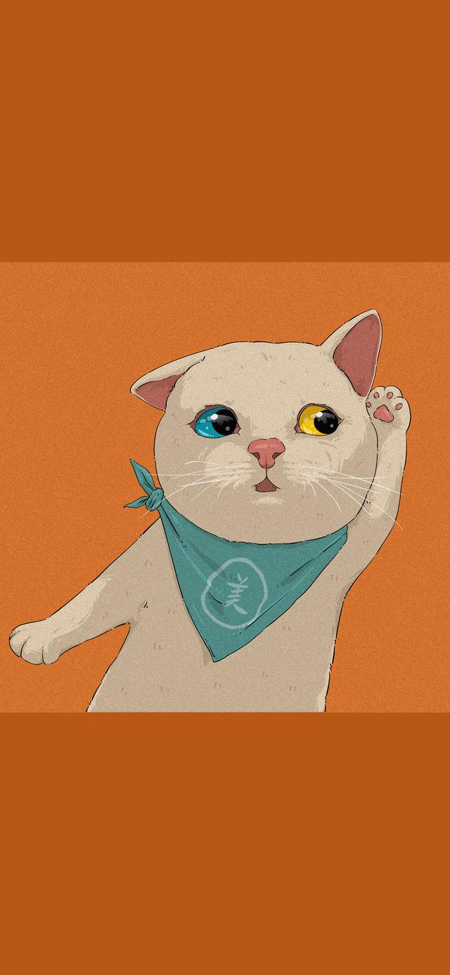 手机壁纸高清可爱卡通猫咪（可爱喵咪卡通手机壁纸）(6)