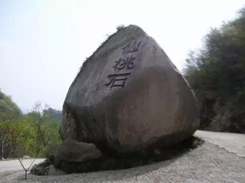 发现一个带娃露营好地方（周末溜娃哪里去）(5)