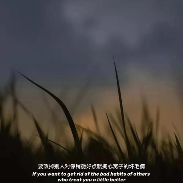 背景图孤独文字图片