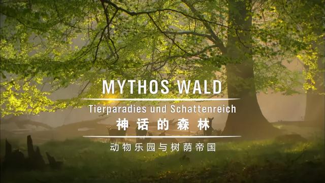 16部超赞自然纪录片，让孩子足不出户看到地球的“真实面目”！