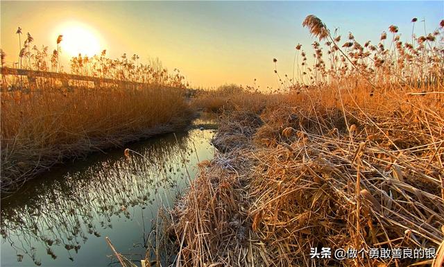 一米阳光图片