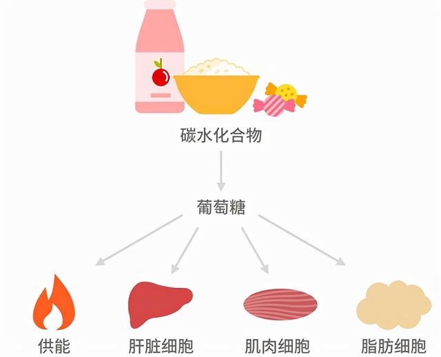 更年期人群，应该怎样吃主食，才能更健康？