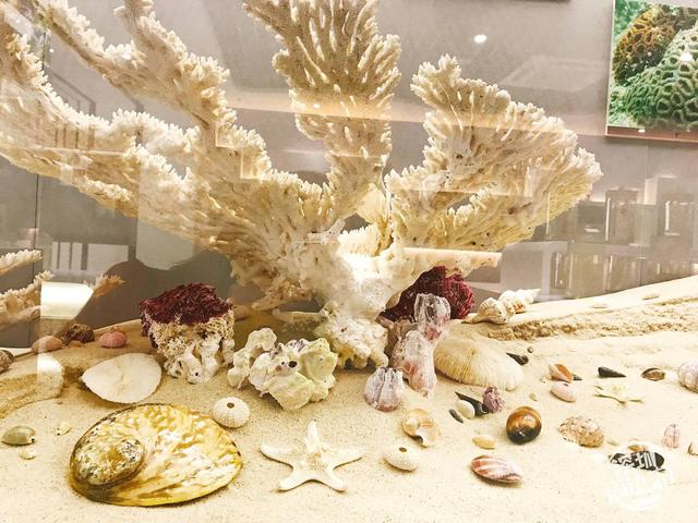 深圳机械展展馆