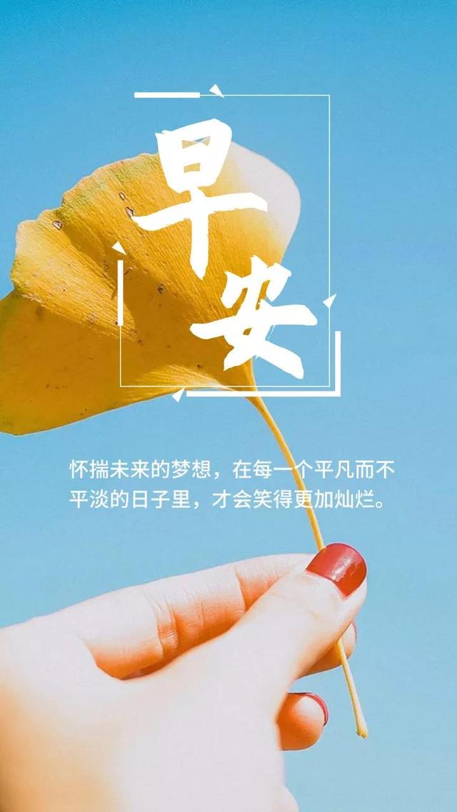 早安心语正能量周四：只有努力不会背叛你，加油吧！