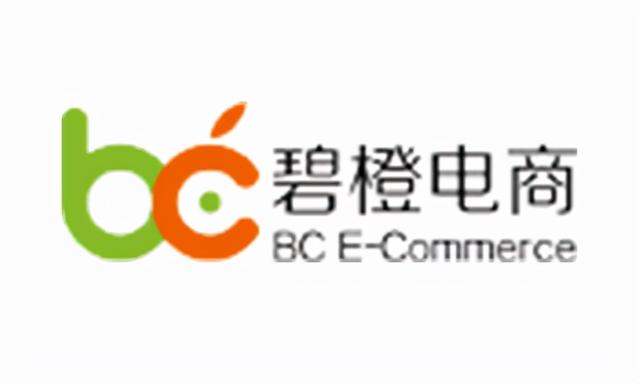 重庆电商代运营十大公司排名（深圳电商代运营十大公司排名）