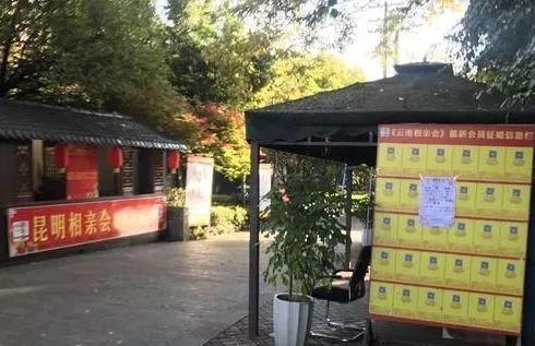 宣威破碎机