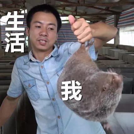 身体乳美白小黑裙