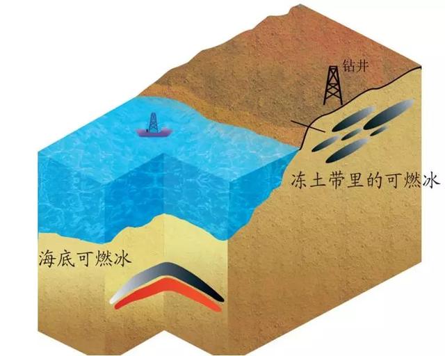 海里有什么 海里有什么（海里有什么东西） 生活