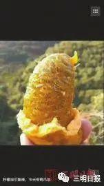 野木瓜 野木瓜（野木瓜片的功能主治） 生活