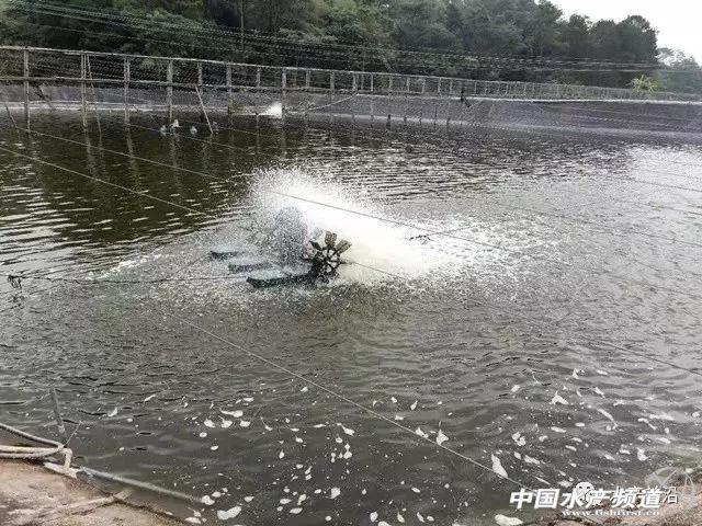 北海市叶轮式洗砂机