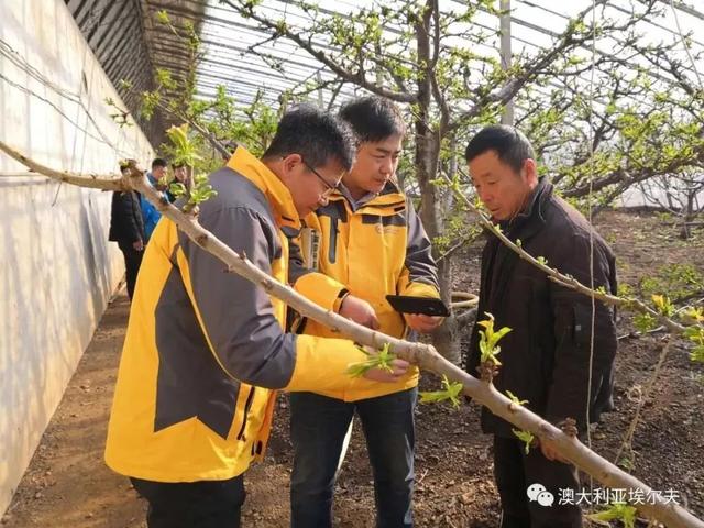 澳大利亚埃尔夫农技推广服务大连站圆满结束！2