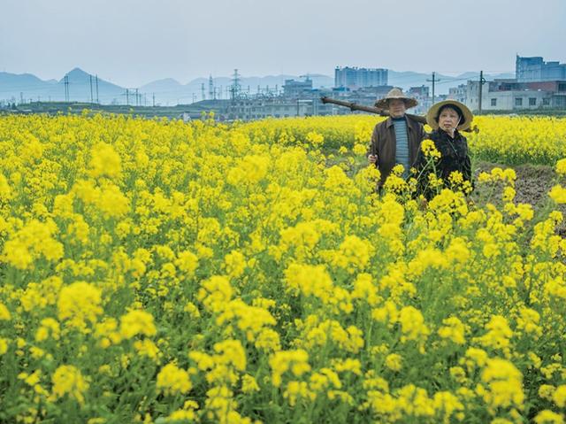 封控期一家4口天台整齐跳舞