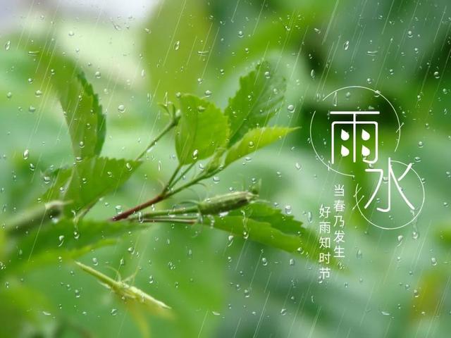 雨水是什么意思(雨水节气是什么意思)