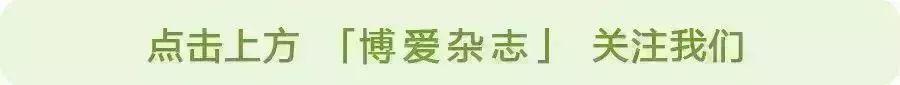 爷爷的情书