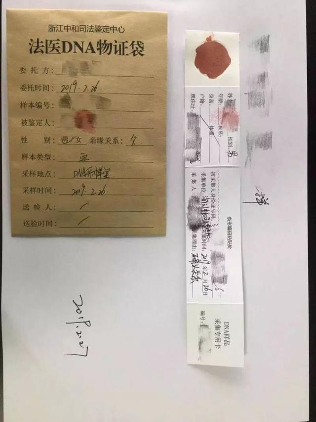 抱来的孩子养了两年，为了办收养去做亲子鉴定，结果却让妻子傻眼了…