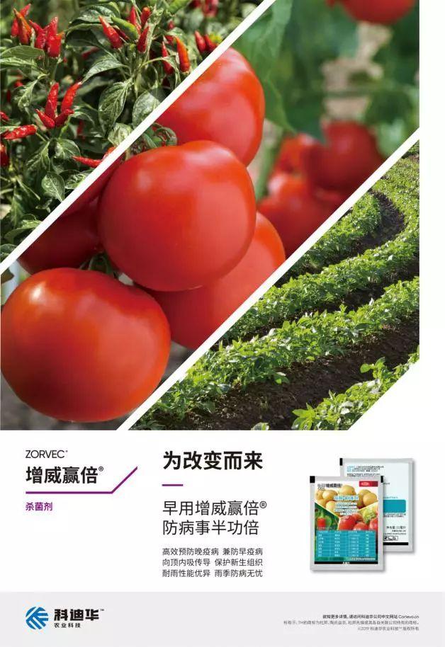 科迪华™新品增威赢倍®上市 直击疫病！点击领样品3