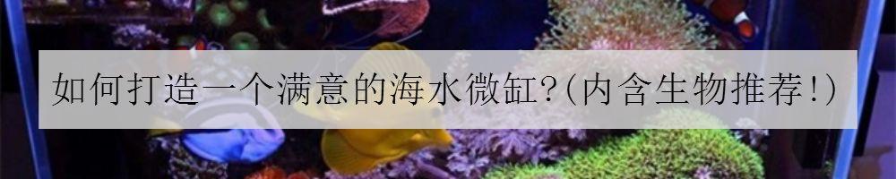 养海鱼过滤机